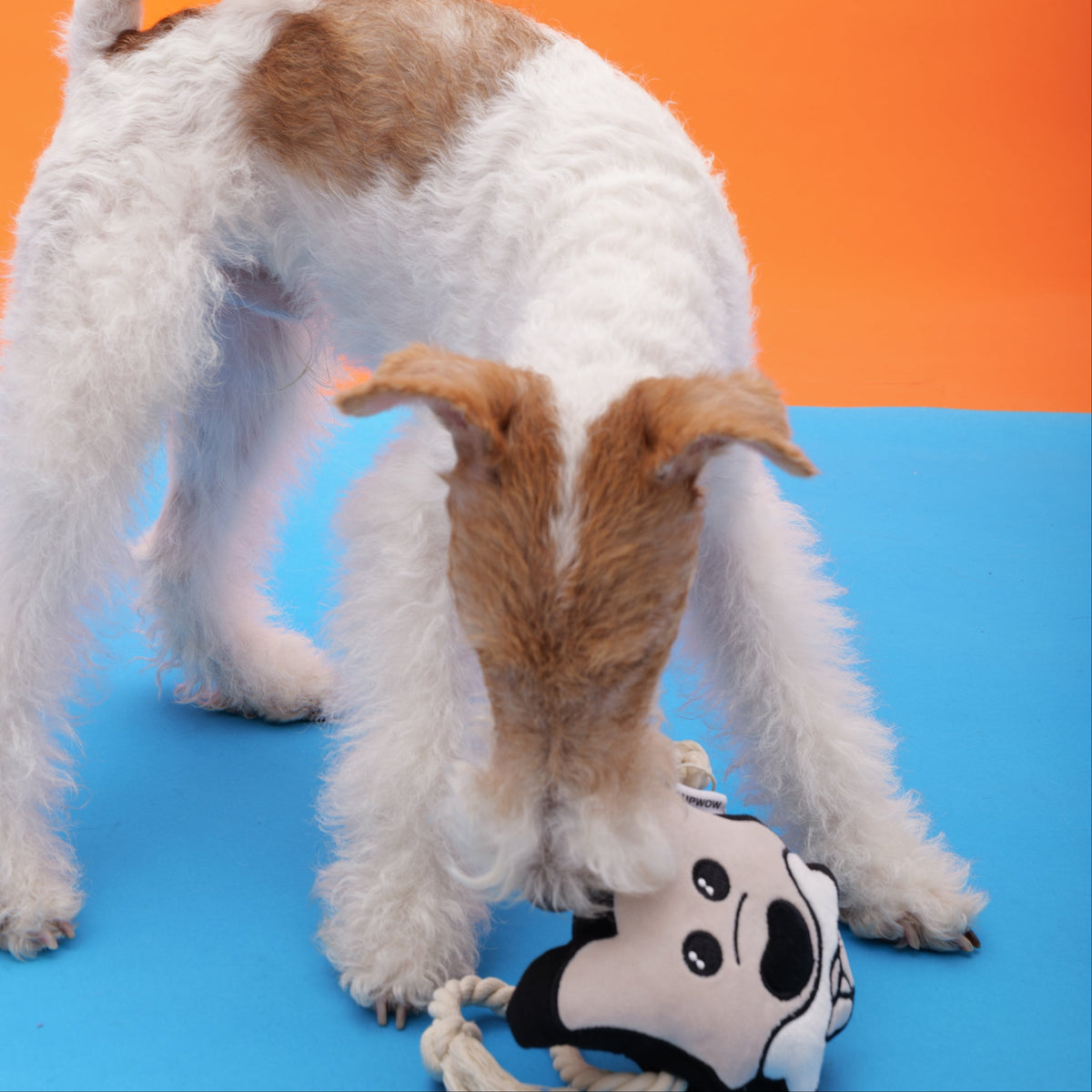 Niki the dog Pet Toys | Tuggies | Squeakers – SUPWOW